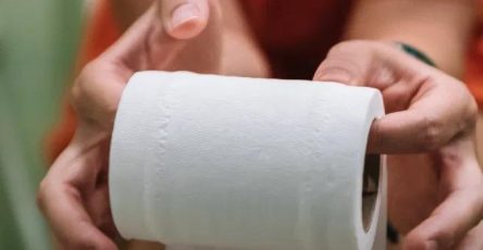 9ead9e72 faf1 46a2 9568