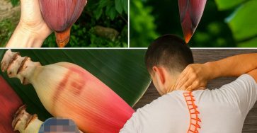 Picsart 25 09 09 13 23 51