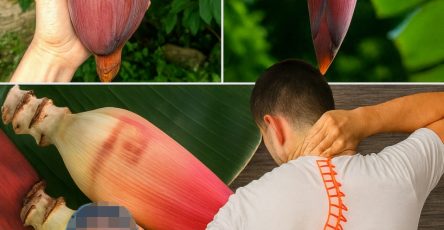 Picsart 25 09 09 13 23 51