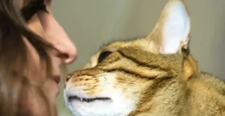 Sniffing Your Face.jpg