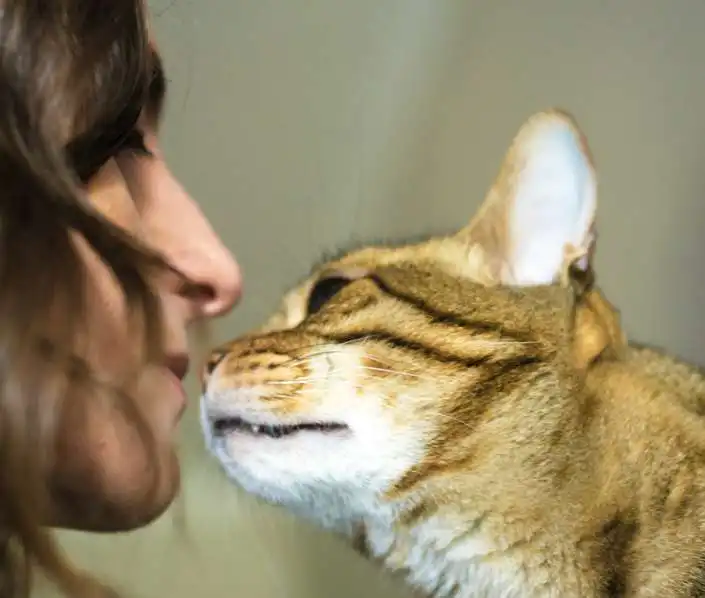 Sniffing Your Face.jpg