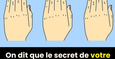 Untitled Project 2025 09 15T113349.541