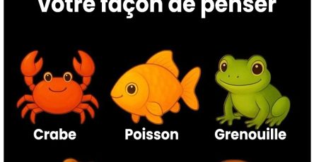 Untitled Project 2025 12 11T174926.808