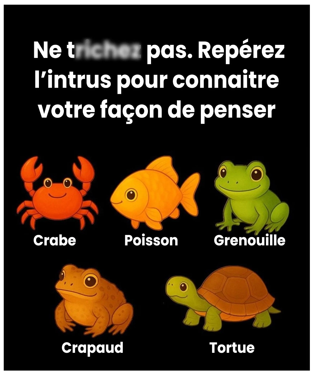 Untitled Project 2025 12 11T174926.808