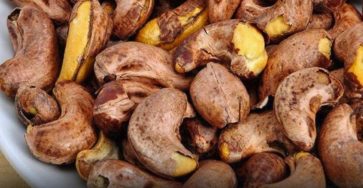 WhatsApp Image 2026 02 01 at 11.44.37