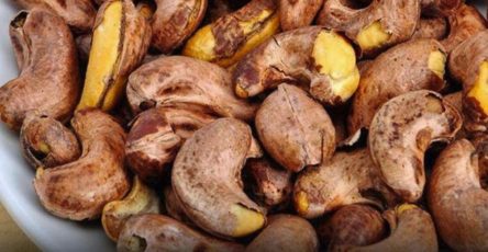 WhatsApp Image 2026 02 01 at 11.44.37