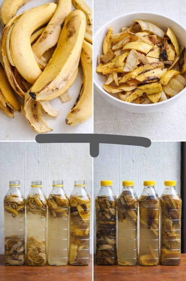 WhatsApp Image 2026 03 02 at 05.13.24