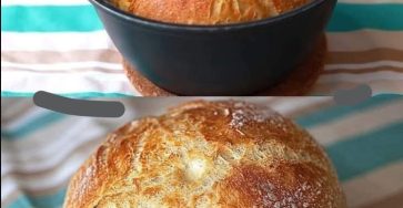 WhatsApp Image 2026 03 02 at 05.13.59