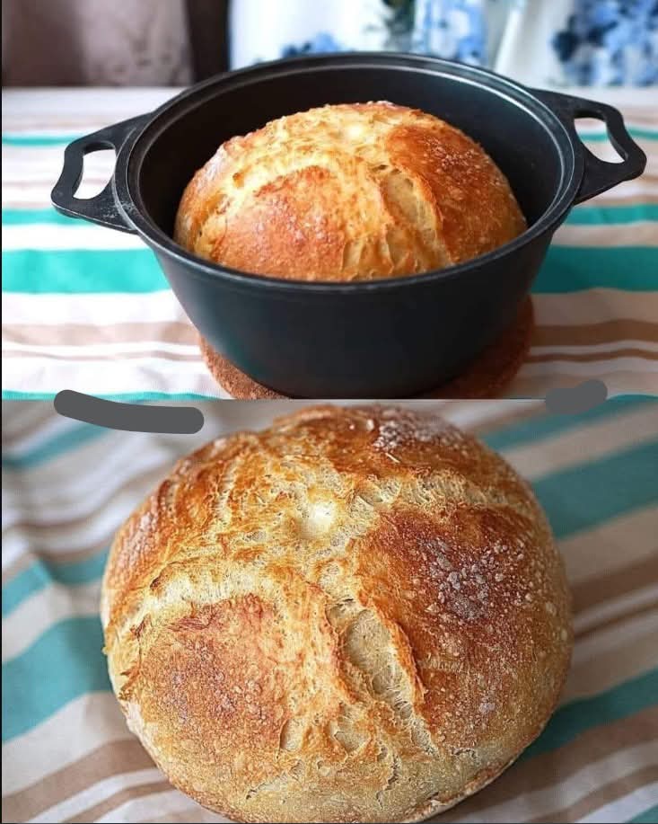 WhatsApp Image 2026 03 02 at 05.13.59