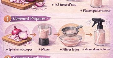 WhatsApp Image 2026 03 02 at 05.56.24