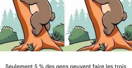 XX470048331 122146694642477614 9126419413019102608 n 1 444