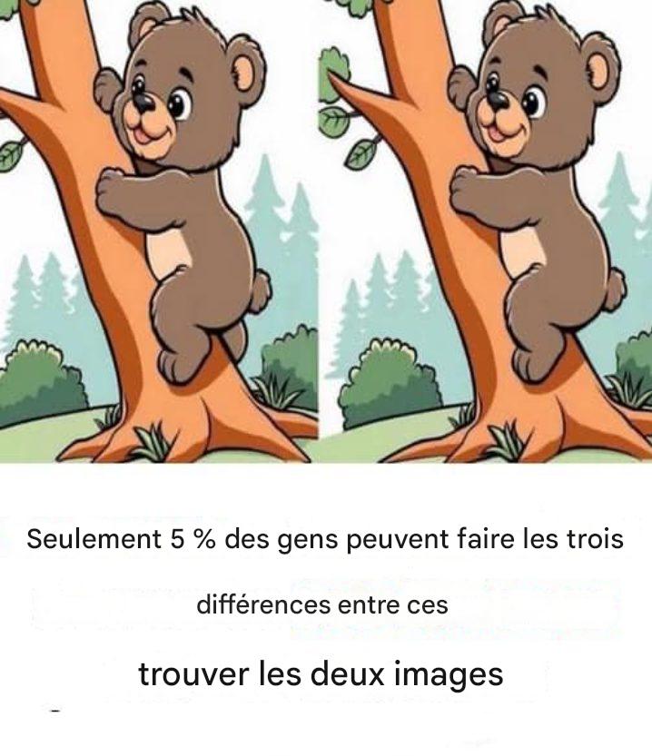 XX470048331 122146694642477614 9126419413019102608 n 1 444