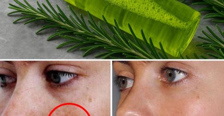 XX470048331 122146694642477614 9126419413019102608 n 1 444