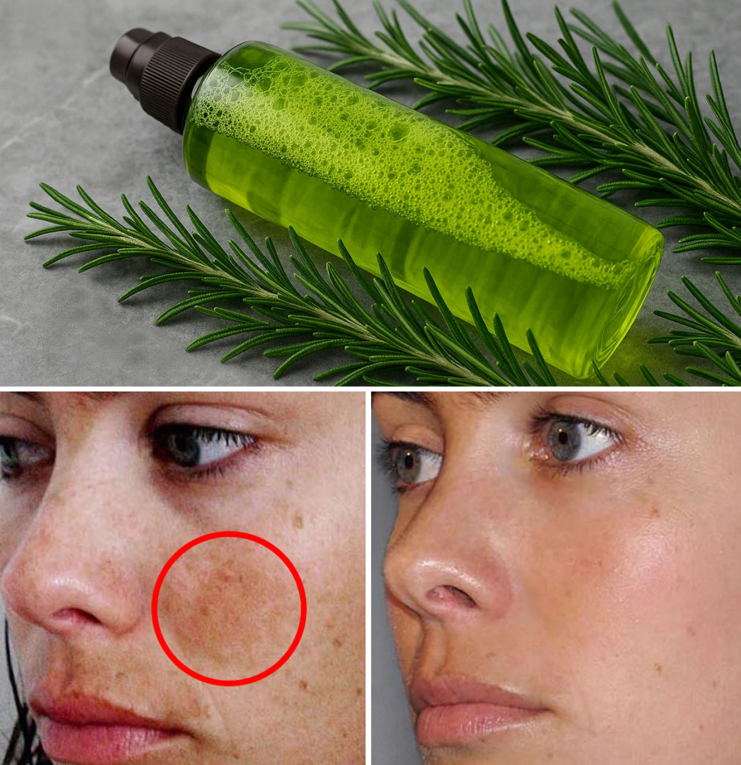 XX470048331 122146694642477614 9126419413019102608 n 1 444