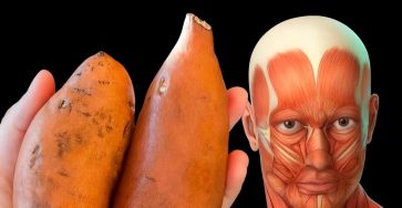 C4078c8b 9b97 49f7 b964 4e94f35c6d7d