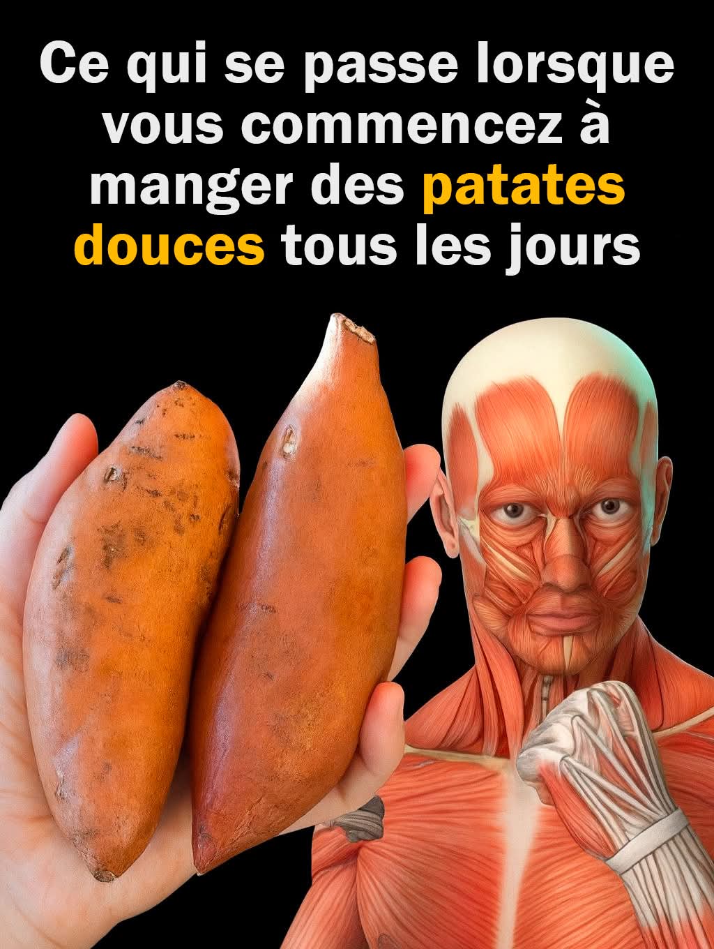 C4078c8b 9b97 49f7 b964 4e94f35c6d7d