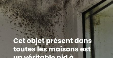 D5f37b12 d65e 430e 965e a1db54e180ff