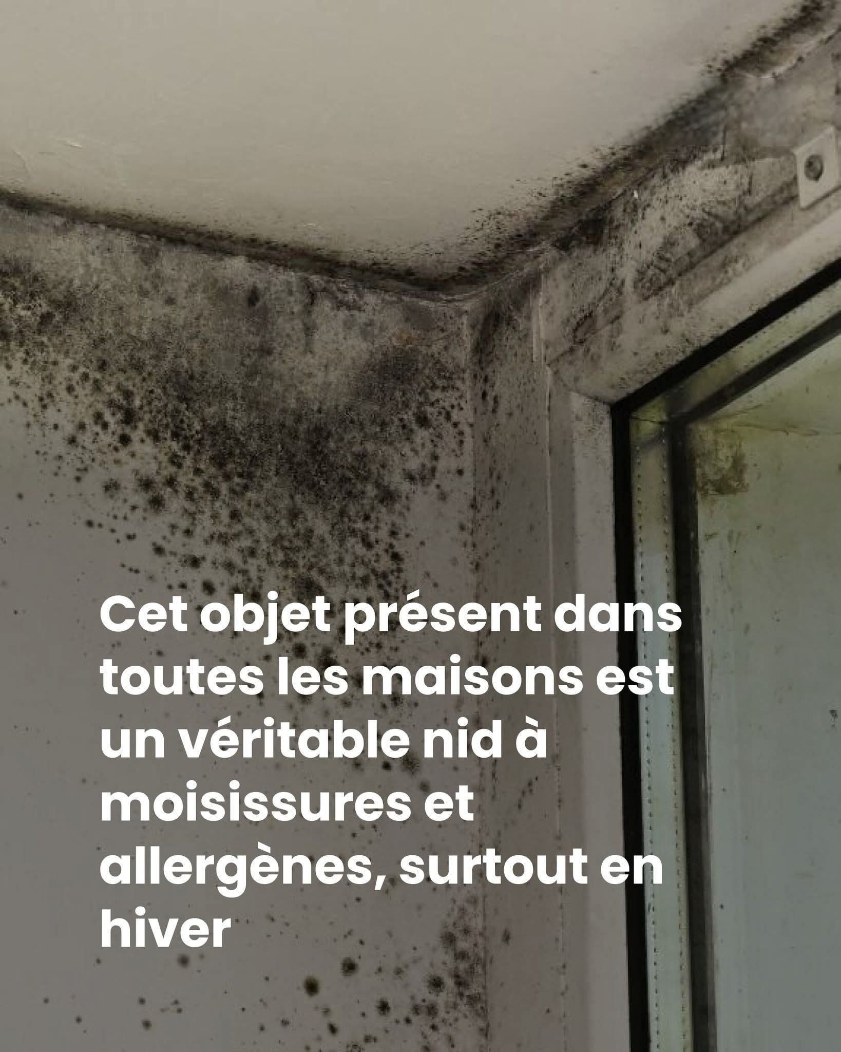 D5f37b12 d65e 430e 965e a1db54e180ff