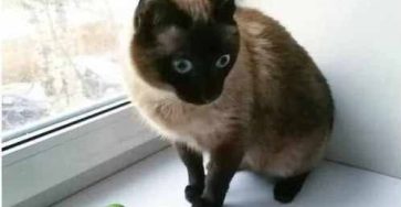 F1d57258 f47d 4f24 b3be de76ff8d4111 (1)