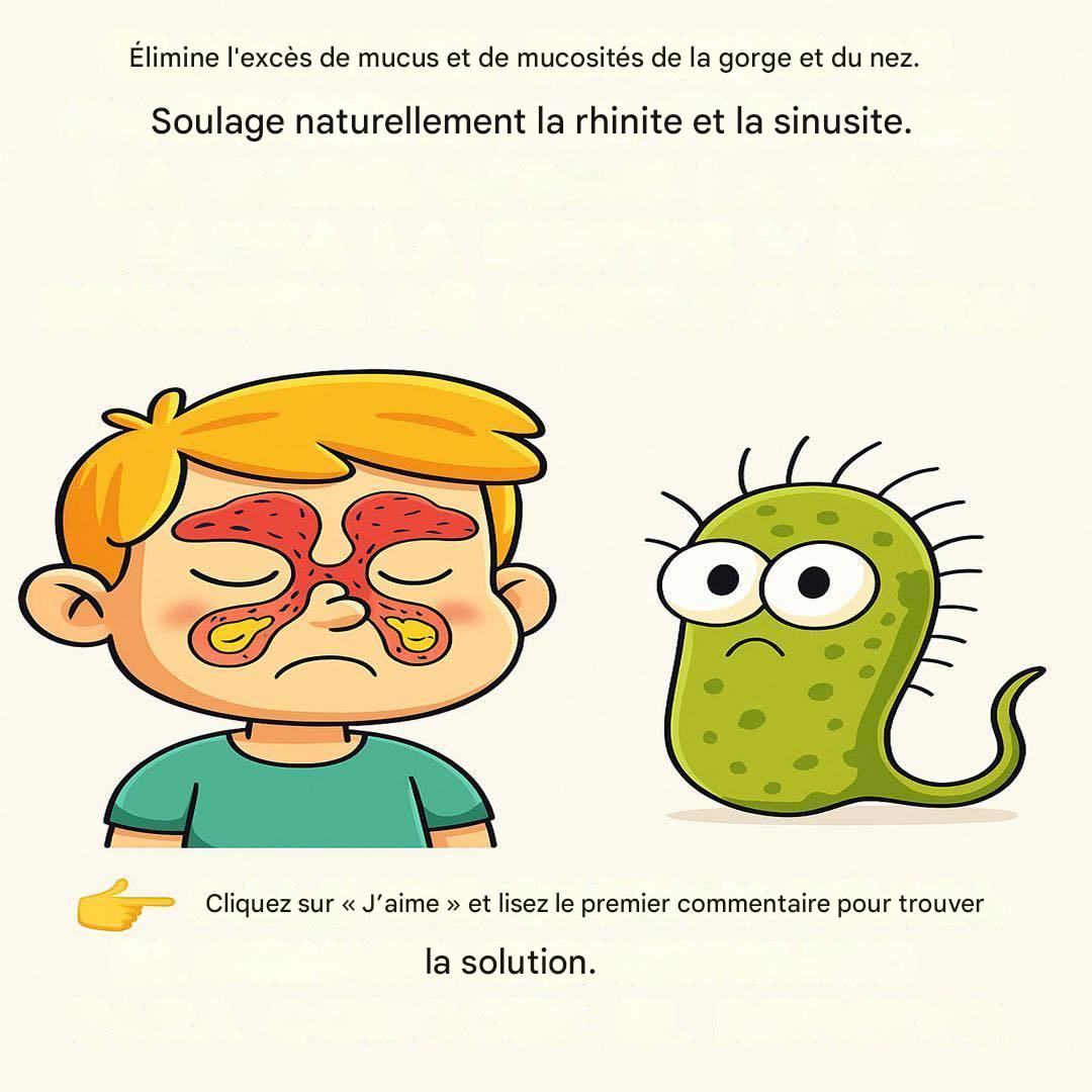 F1d9885c 16af 48a2 9e4a 02154982bbf8