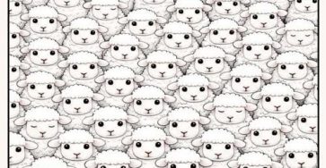 Image311d81d4 9bb5 44a3 9cfe 3db0487741a0