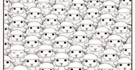 Image311d81d4 9bb5 44a3 9cfe 3db0487741a0