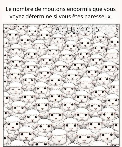 Image311d81d4 9bb5 44a3 9cfe 3db0487741a0