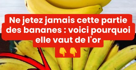 Ne jetez jamais cette partie de la banane voici pourquoi elle vaut de lor