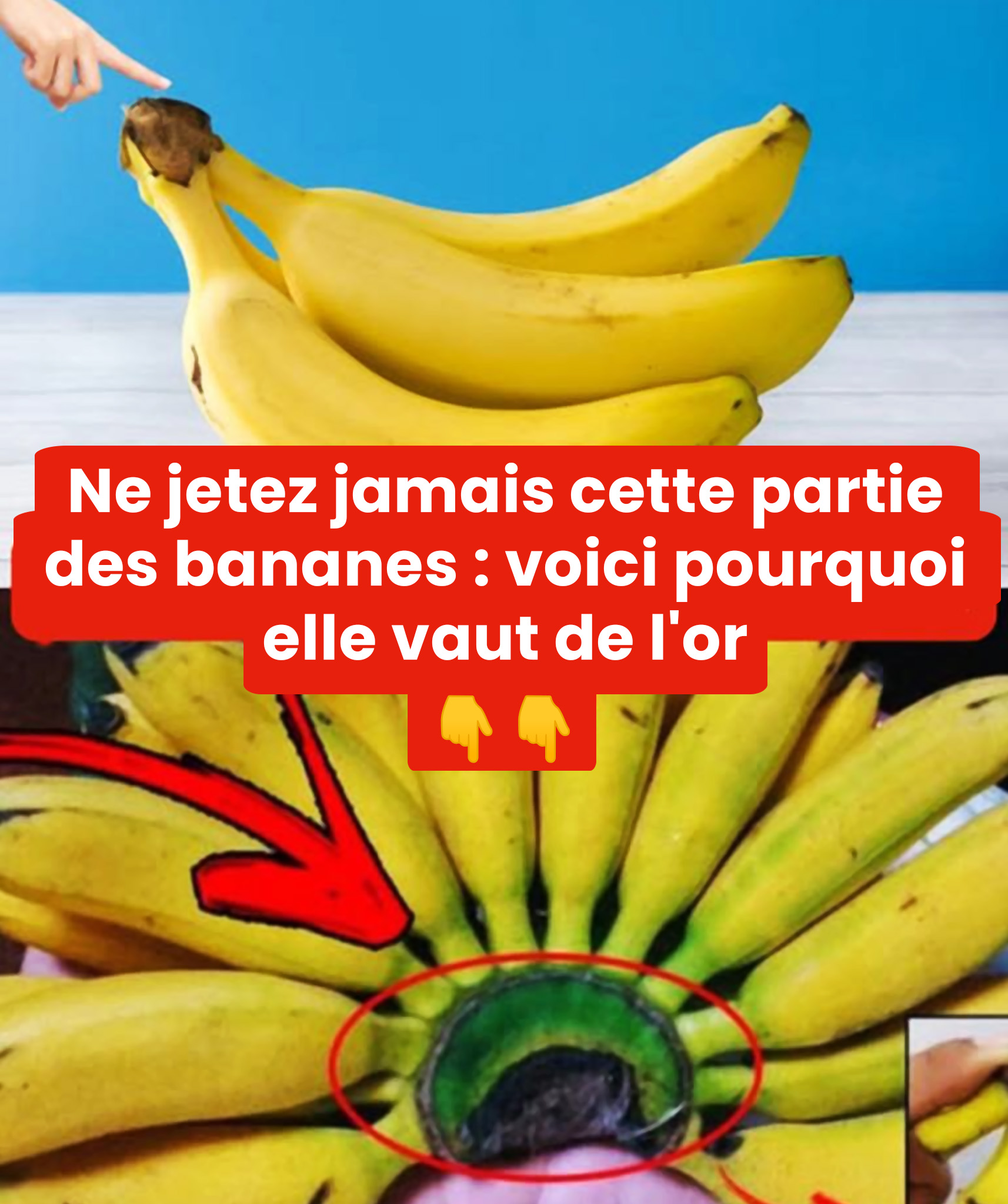 Ne jetez jamais cette partie de la banane voici pourquoi elle vaut de lor