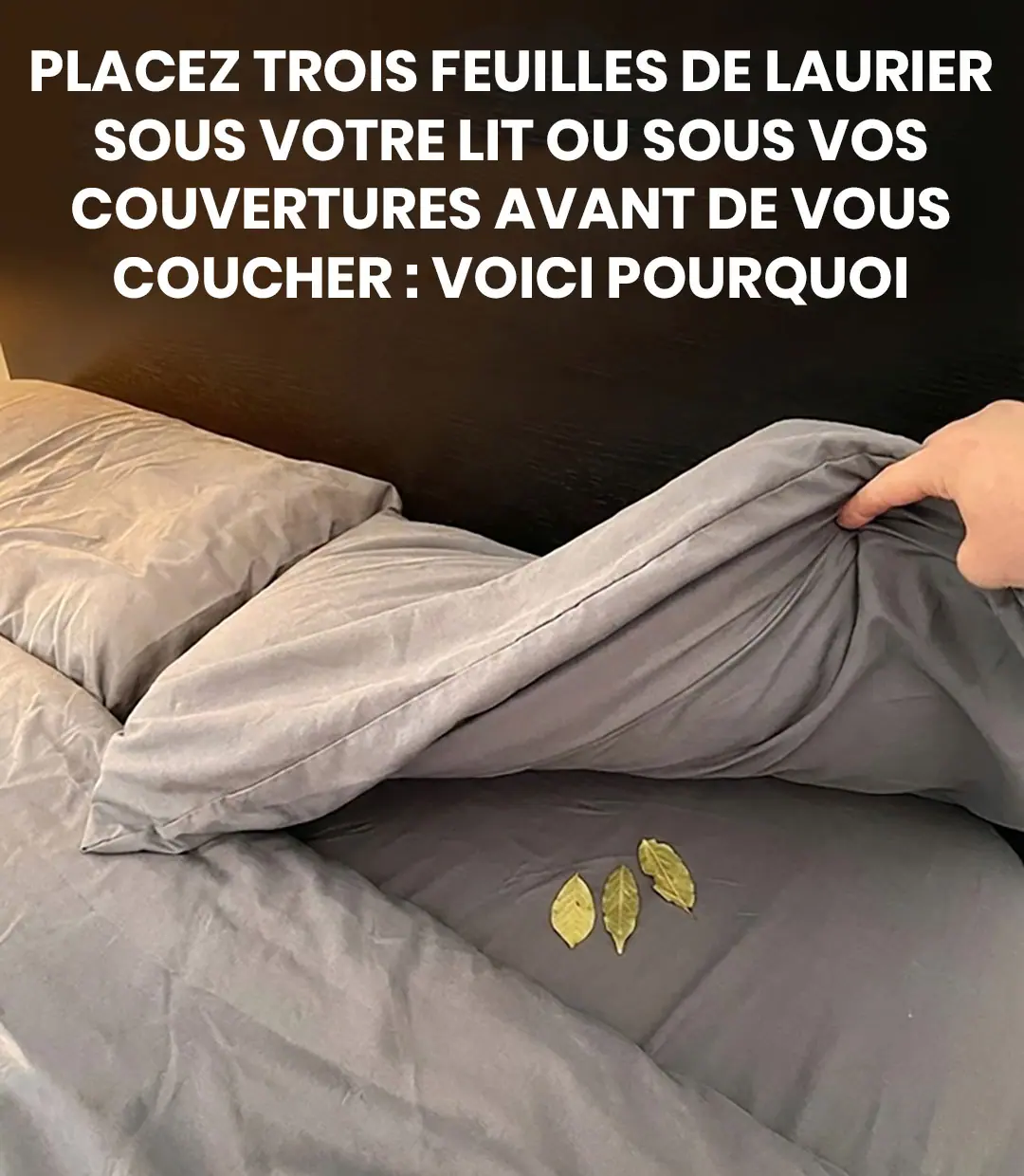 Placez trois feuilles de laurier sous le lit ou sous la couverture avant de vous coucher voici pourquoi.jpg (1)