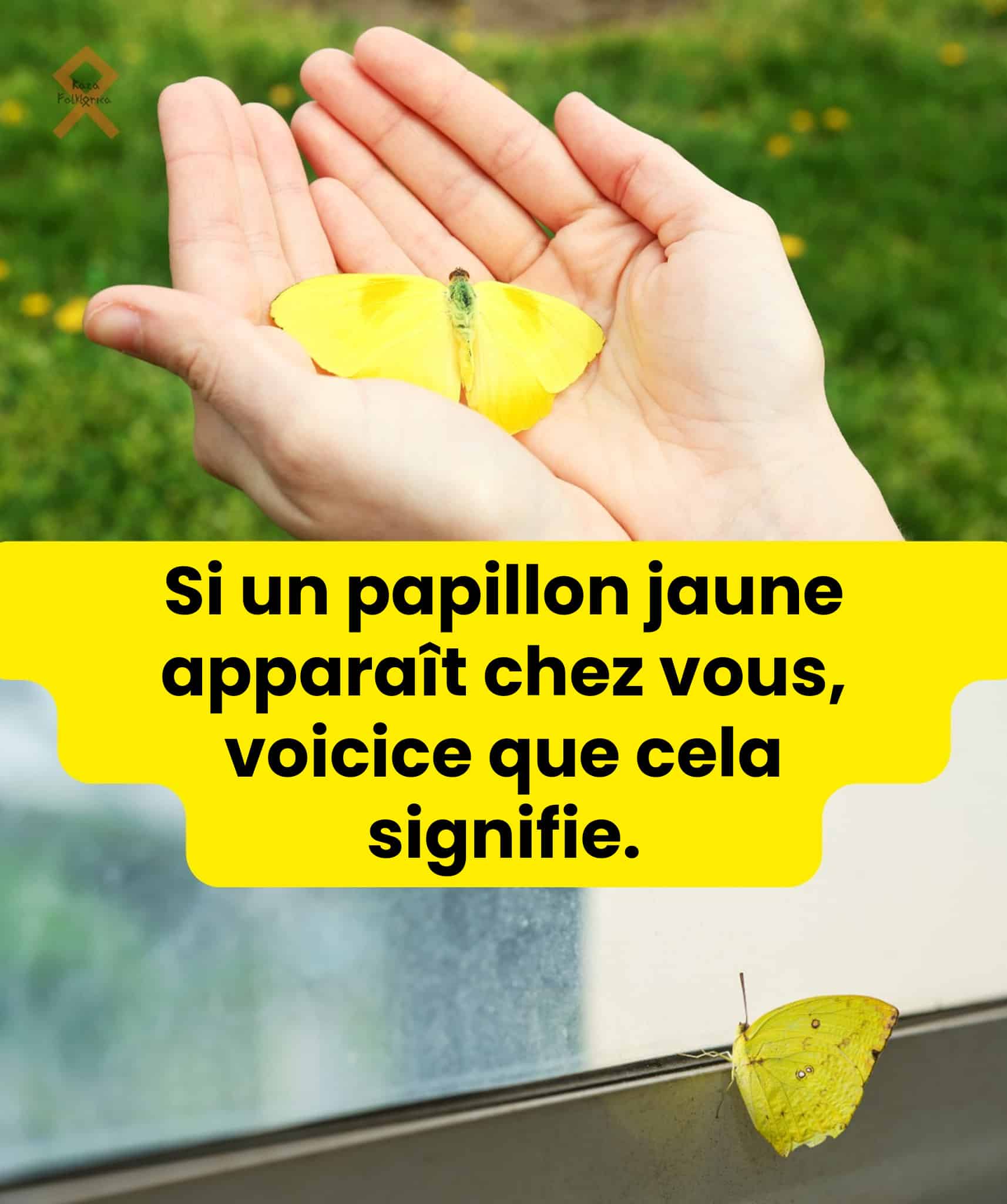 Si un papillon jaune entre chez vous prenez garde cest un signe important qui cherche a vous avertir