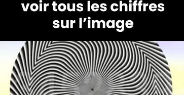 Test de vision peu de gens parviennent a voir tous les chiffres sur limage
