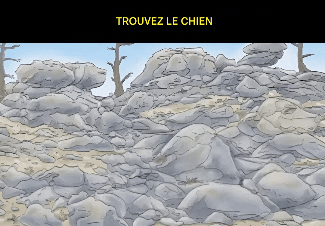 Translated image nl 2025 05 12T200428.369