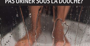 Translation 20251015