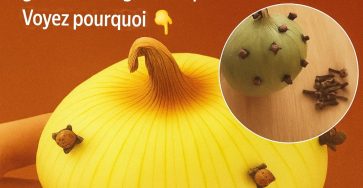 Translation 20251206 172842