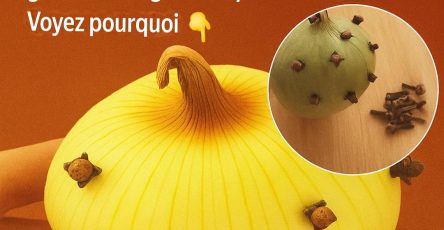 Translation 20251206 172842