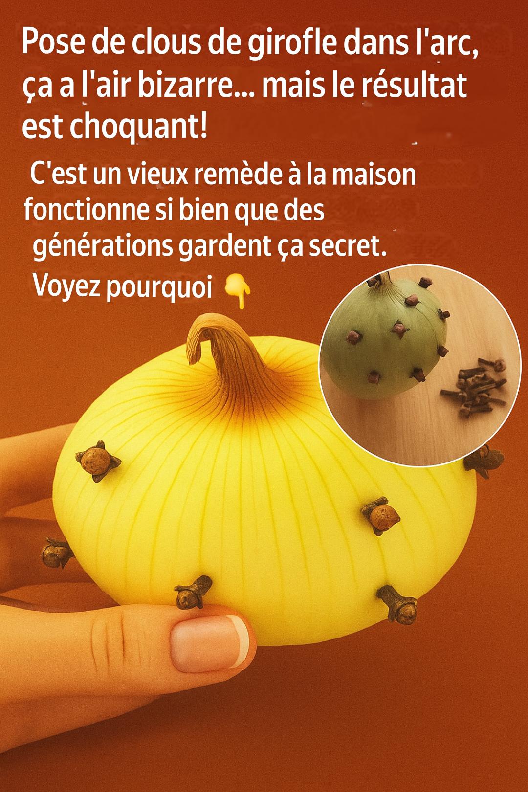 Translation 20251206 172842