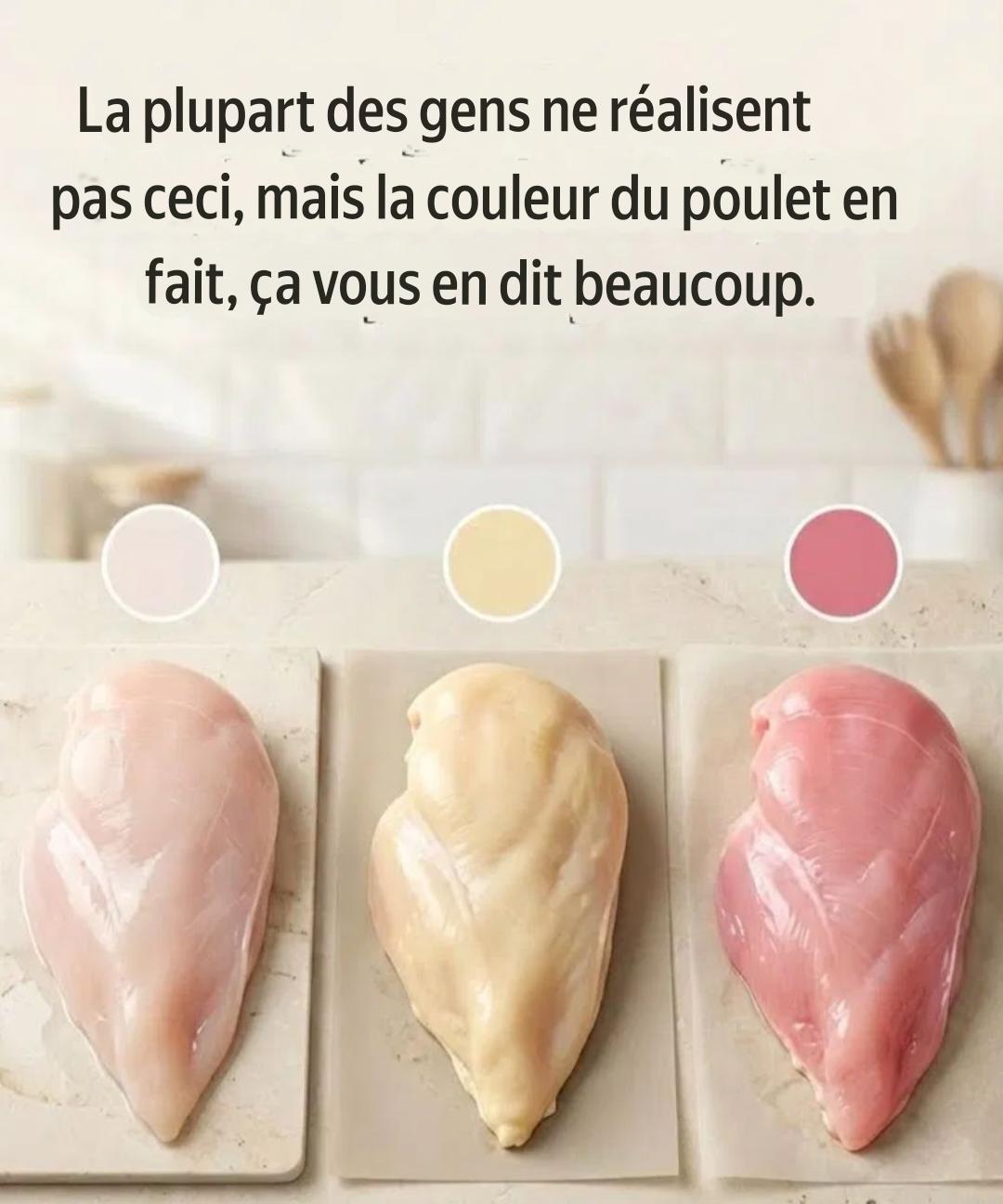 Translation 20260111