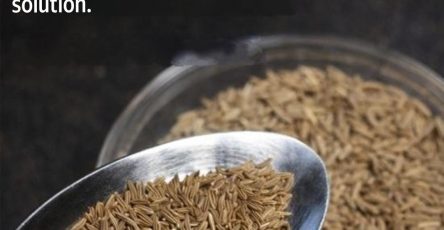 Translation 20260115