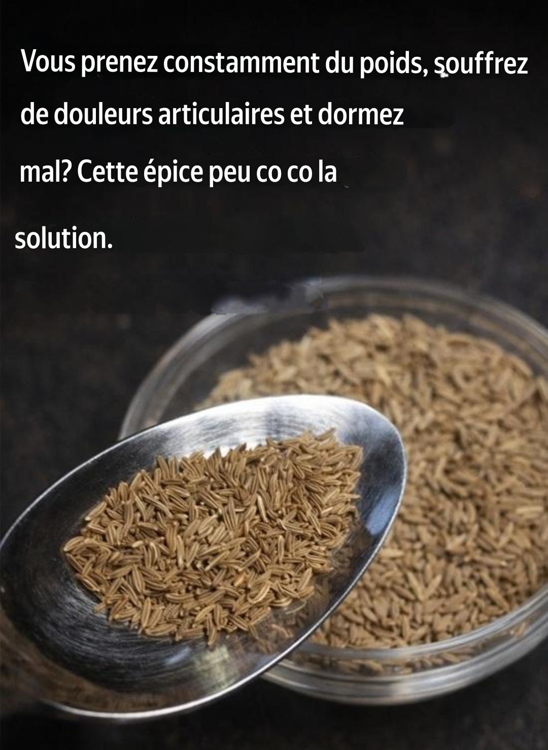 Translation 20260115