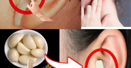 166862e6 5ced 4a83 989b fde2ae7ca448