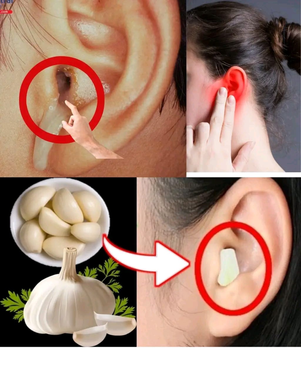 166862e6 5ced 4a83 989b fde2ae7ca448