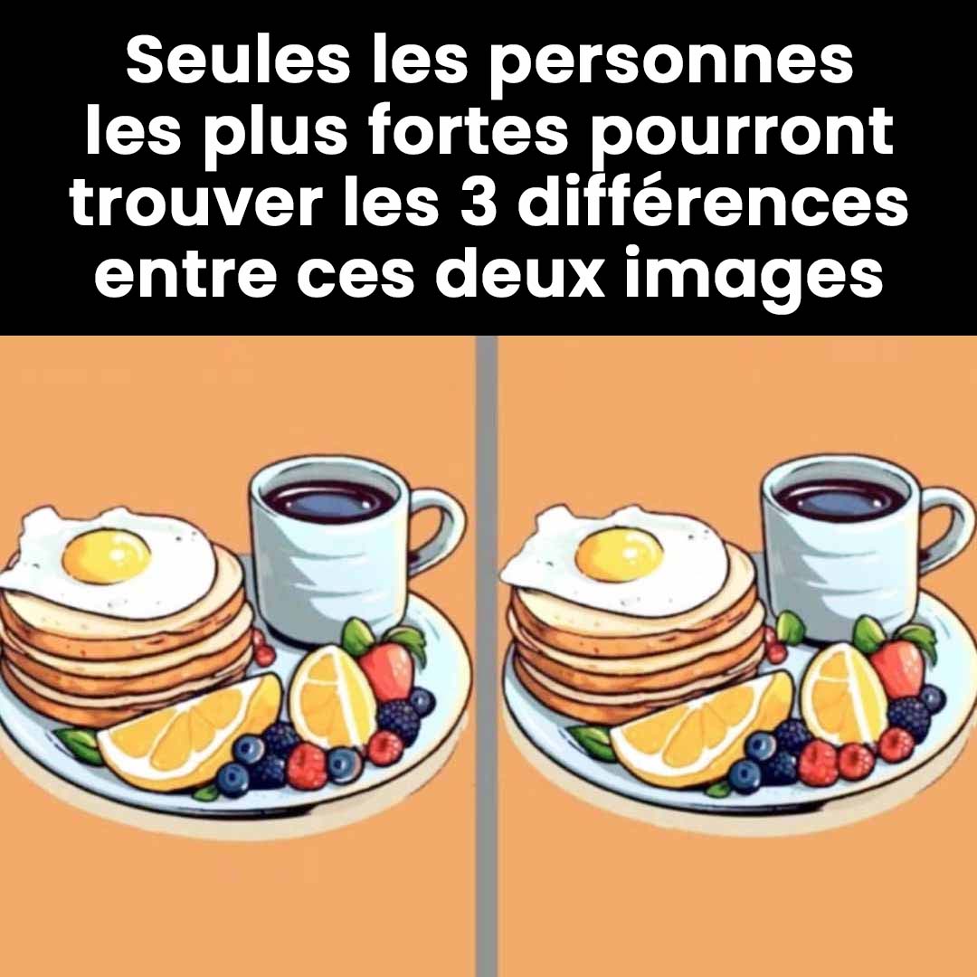 486149422 1063757885788786 7861084290857802343 n (1)