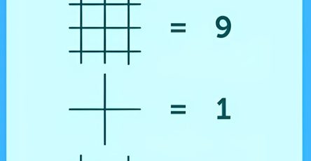 486301359 1063760225788552 2128867441828482124 n