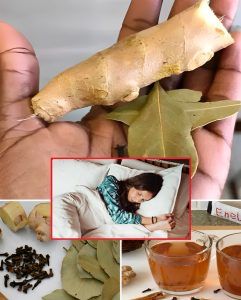 486394600 122158195358496066 8643976727003524247 n