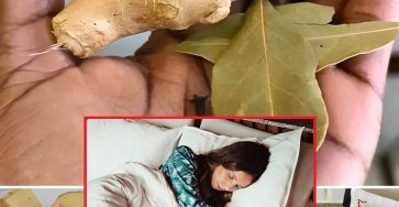 486394600 122158195358496066 8643976727003524247 n