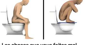 499400843 1096465042513943 139868174375559709 n