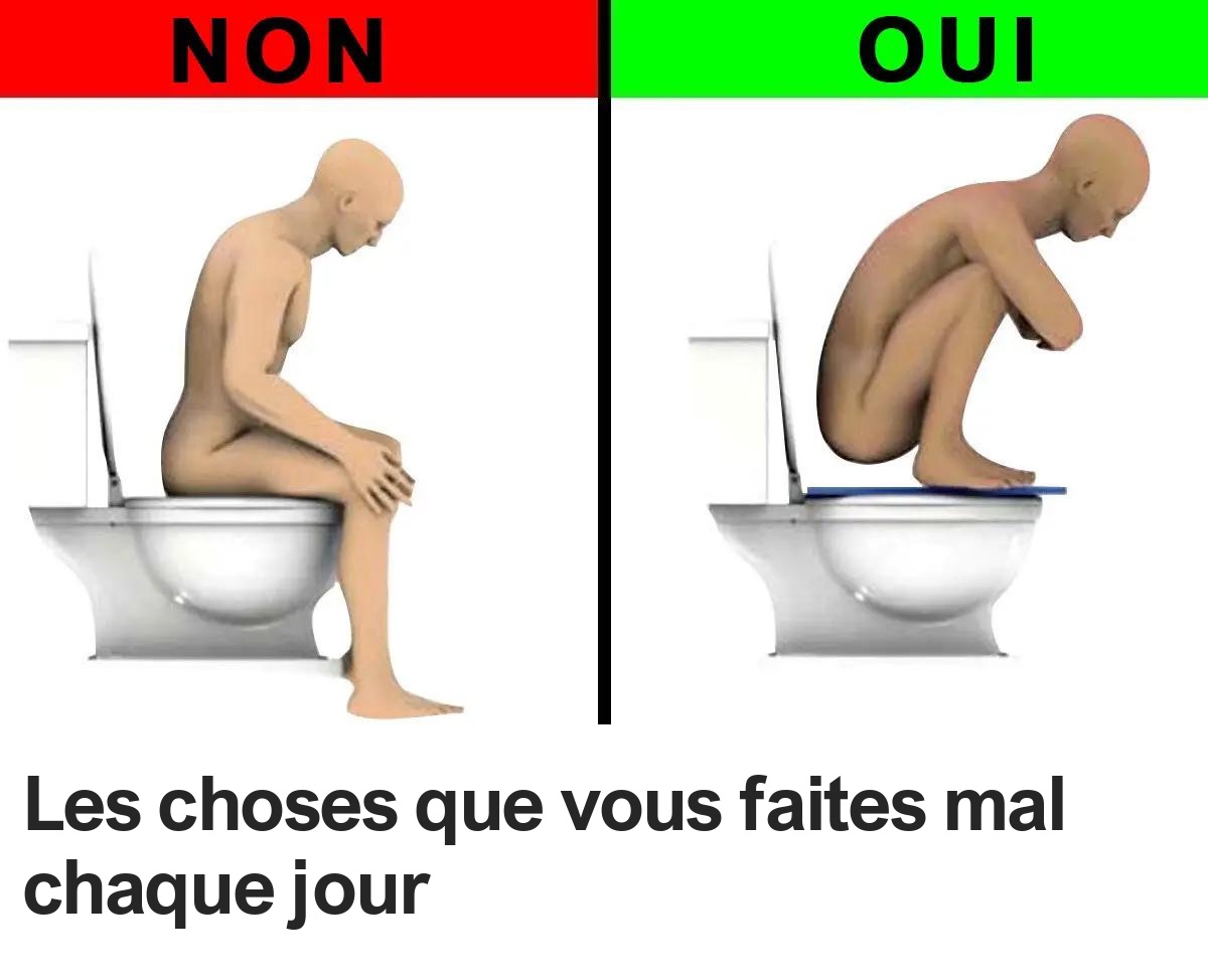 499400843 1096465042513943 139868174375559709 n