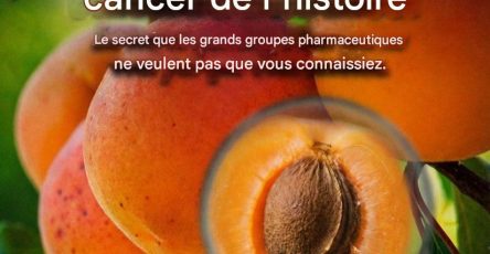 4a9d5e5e 2b01 4167 b913 9b24695611e6