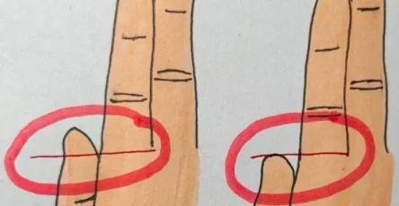 501f966c c942 4292 86d3 6a6e9abdac76